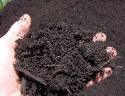 Photo of organic fertilizer. 
