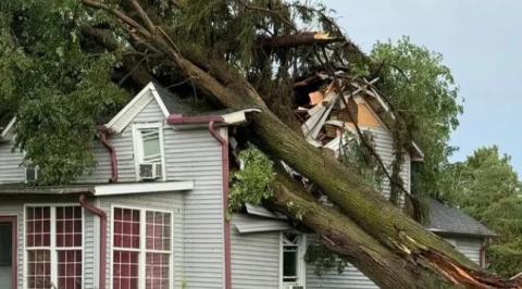 A photo of a tree on top of a house taken from GoFundMe. 