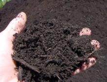 Photo of organic fertilizer. 