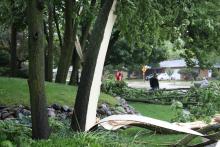 Tree damage on 39th Ave. south of UW-Parkside. 
