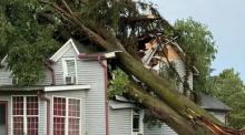 A photo of a tree on top of a house taken from GoFundMe. 
